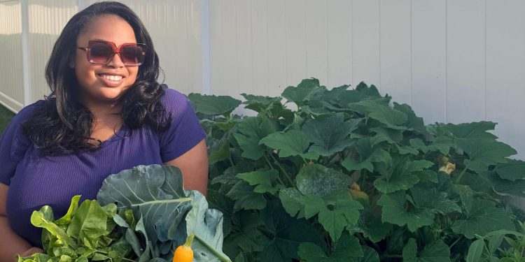 Moestuin bespaart moeder 500 dollar per maand aan boodschappen