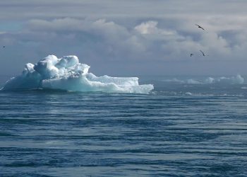 Onderzoekers willen wetenschappelijke basis voor klimaatbeloften bedrijven