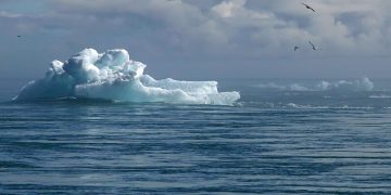 Onderzoekers willen wetenschappelijke basis voor klimaatbeloften bedrijven