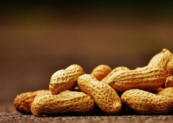 Poepcapsules verminderen pinda-allergie bij zes volwassenen