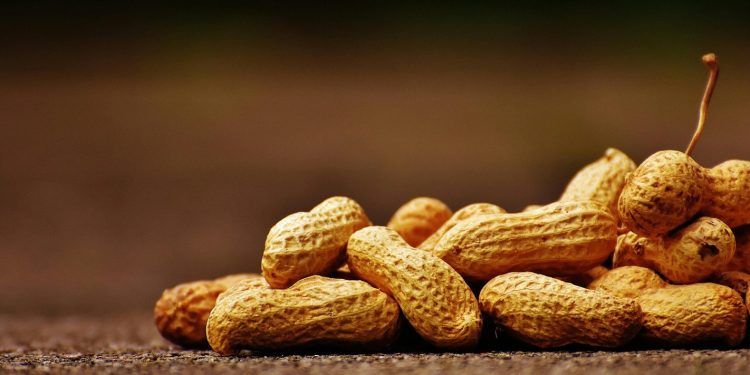 Poepcapsules verminderen pinda-allergie bij zes volwassenen